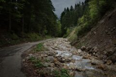 Col du Coq descent, alongside the Ruisseau de l'Orme